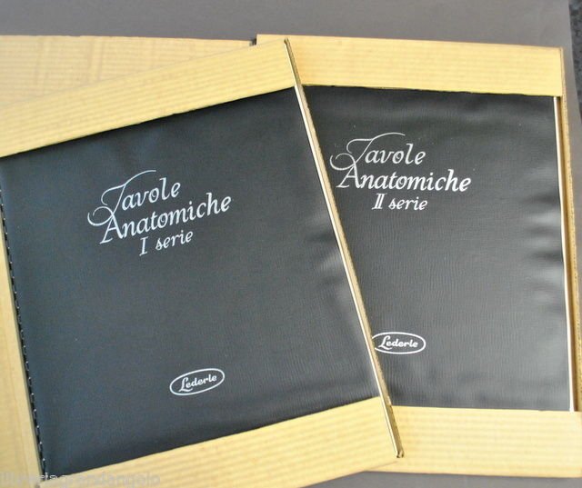 Medicina illustrazioni Tavole Anatomiche Lederle Laboratories Division anni 1970 | Immagine principale