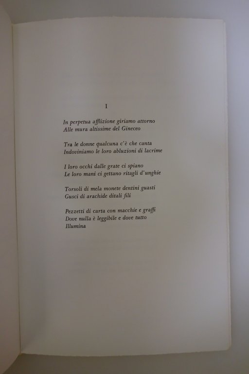 Mehmet Gayuk Il Gineceo Introduzione di Guido Ceronetti Tallone 1998 … | Immagine Gallery 4