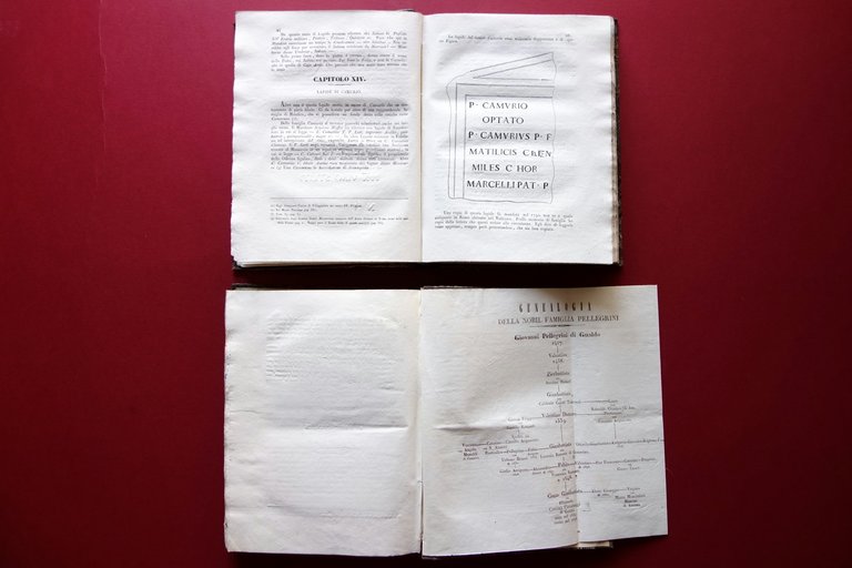 Memorie di Matelica Camillo Acquacotta Baluffi Ancona 1838-39 2 Volumi …