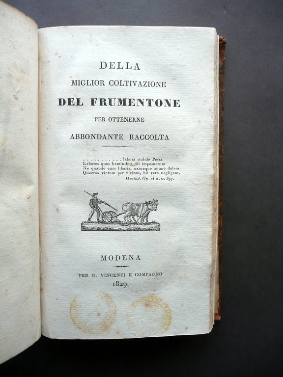 Memorie Varie Risguardanti La Migliore Agricoltura Vincenzi Modena 1837 Savani | Immagine Gallery 5