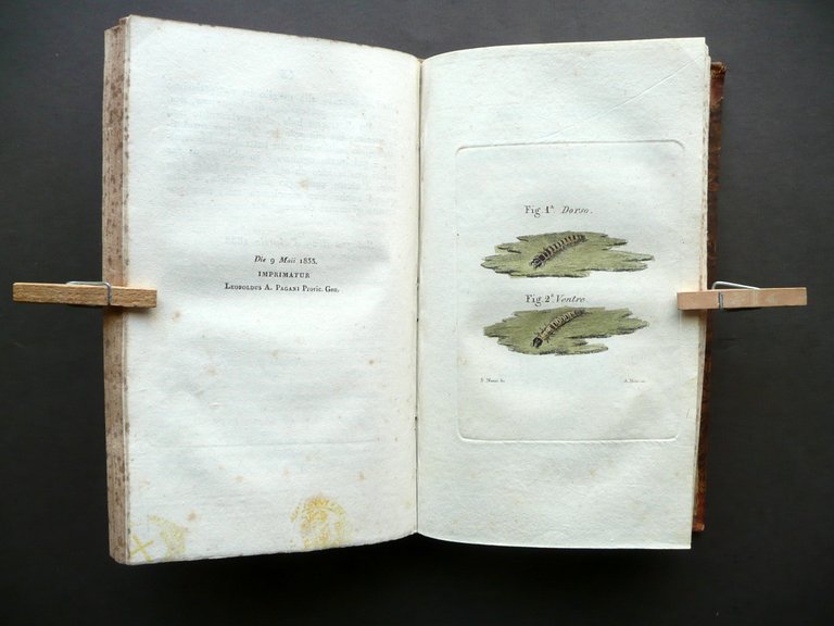 Memorie Varie Risguardanti La Migliore Agricoltura Vincenzi Modena 1837 Savani | Immagine Gallery 7