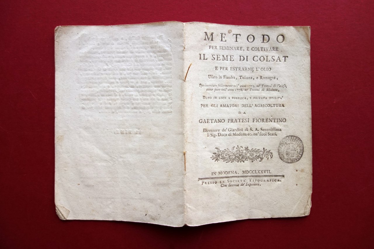 Metodo per Seminare e Coltivare il Seme di Colsat Gaetano …