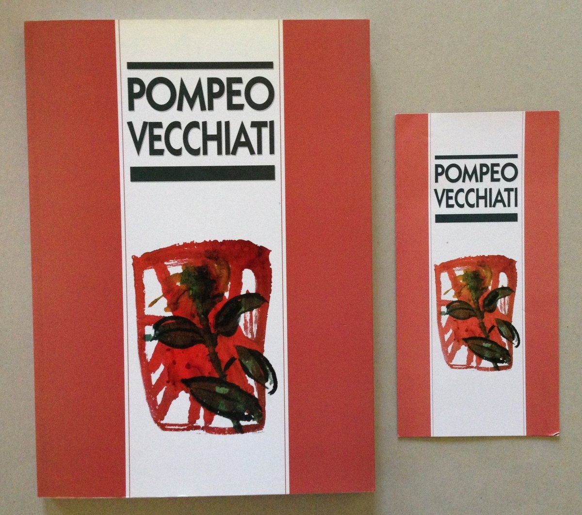 Michele Fuoco Pompeo Vecchiati Castello di Vignola 1999 | Immagine principale