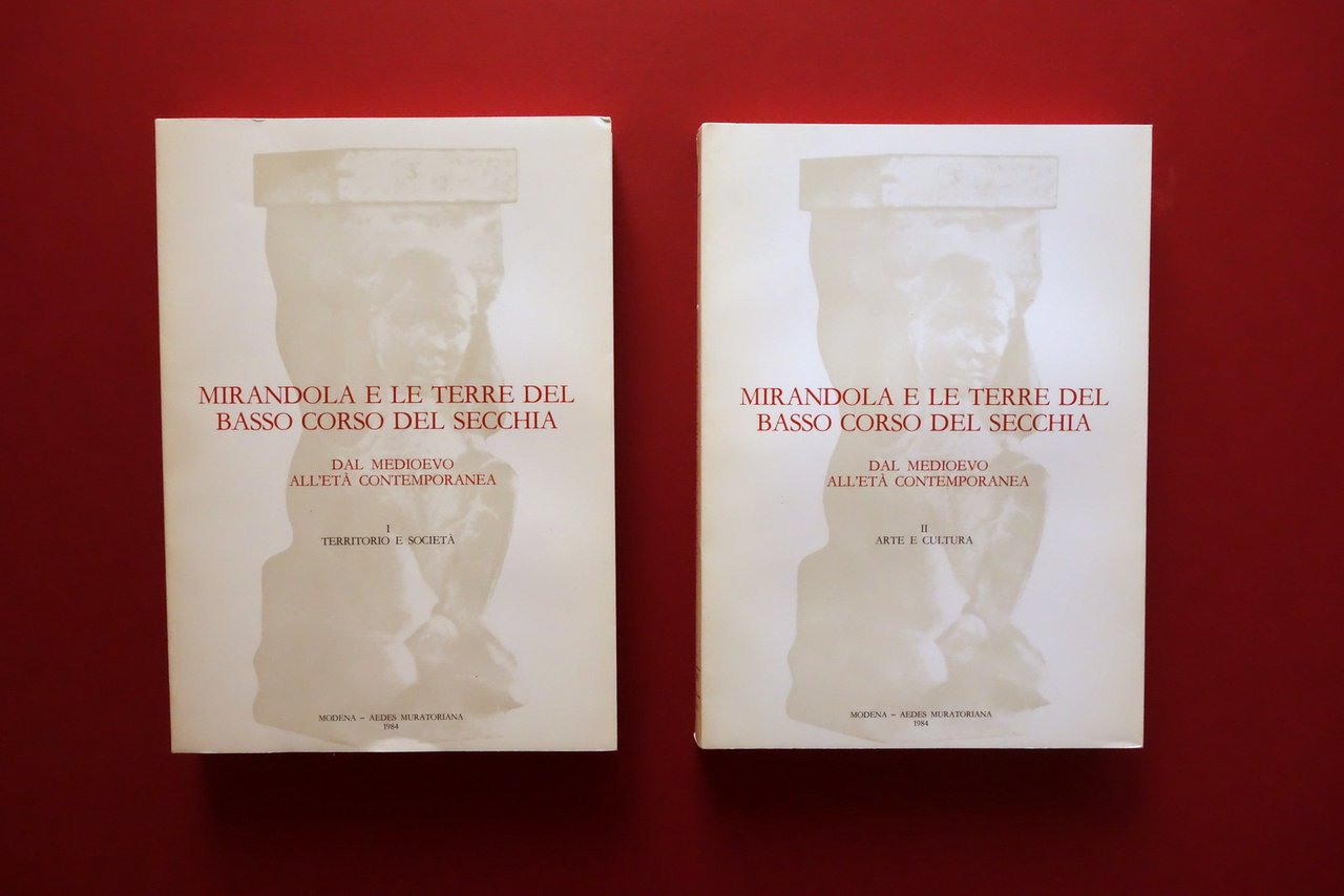 Mirandola e le Terre del Basso Corso del Secchia Aedes … | Immagine principale