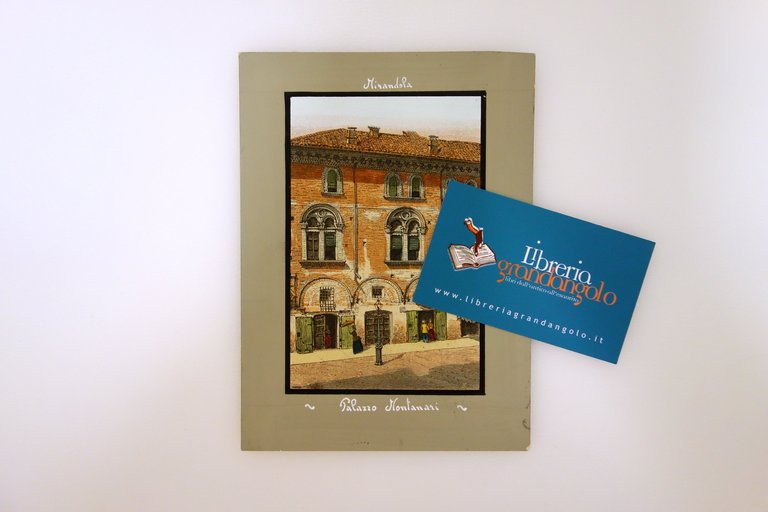 Mirandola Palazzo Montanari Incisione su legno 1890 da "100 Città …