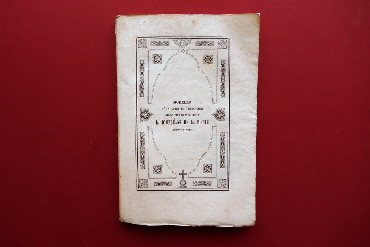 Modello del Vero Ecclesiastico nella Vita di Luigi d'Orleans Vescovo …
