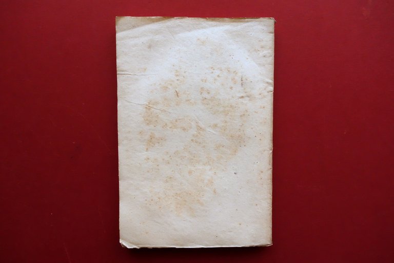 Modello del Vero Ecclesiastico nella Vita di Luigi d'Orleans Vescovo …