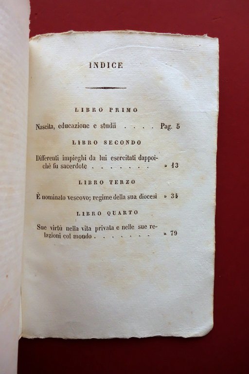 Modello del Vero Ecclesiastico nella Vita di Luigi d'Orleans Vescovo …