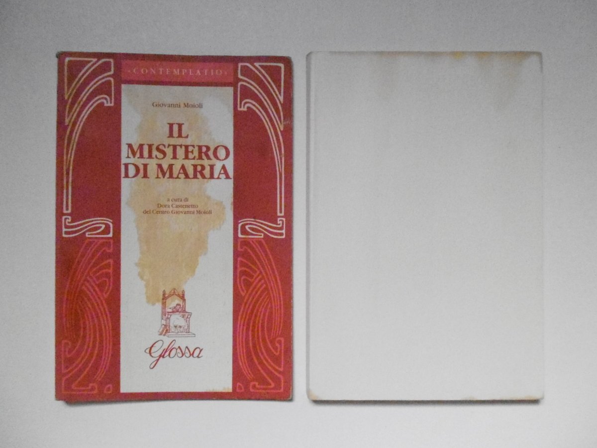 Moioli Giovanni Il Mistero di Maria Edizioni Glossa 1990