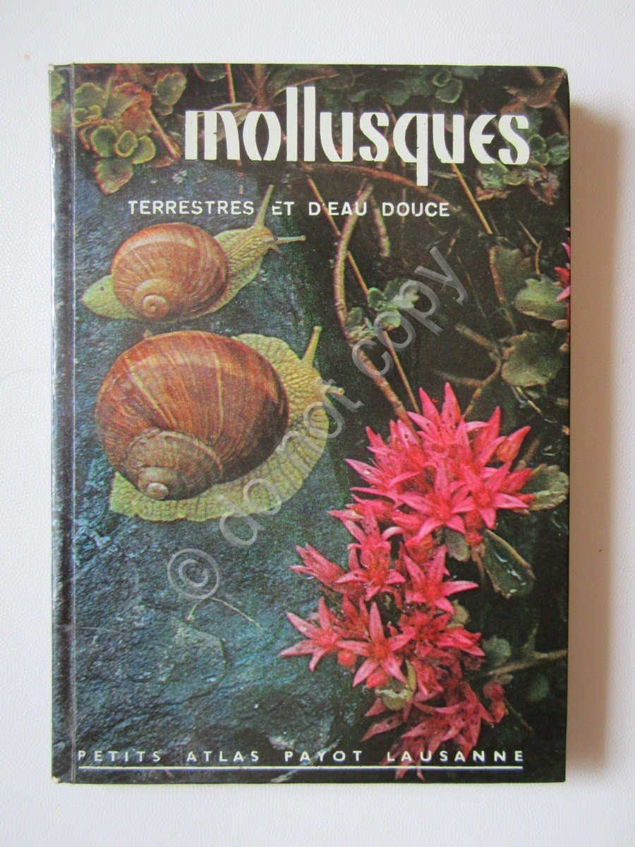 Mollusques Terrestres et d'Eau Douce Forcart 1960 ca. Atlante 21 …