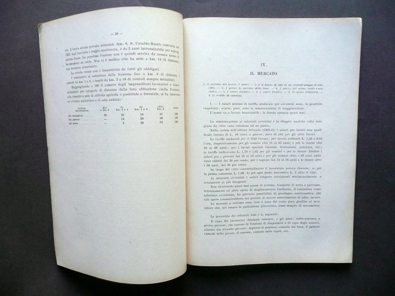 Monografia Economico Agraria della Montagna di Avigliano F. Acquaviva Roma …