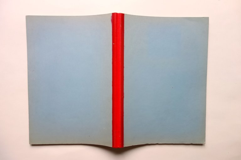 Montaggio Manutenzione Lubrificazone dei Cuscinetti RIV Quarta Ed. 1947
