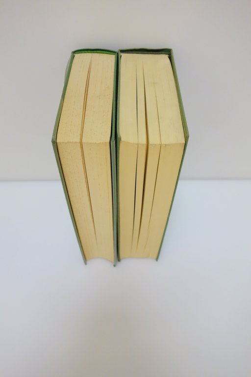 NARRATORI MERIDIONALI DELL'800 - I VICERE' E ALTRE OPERE DE … | Immagine Gallery 3