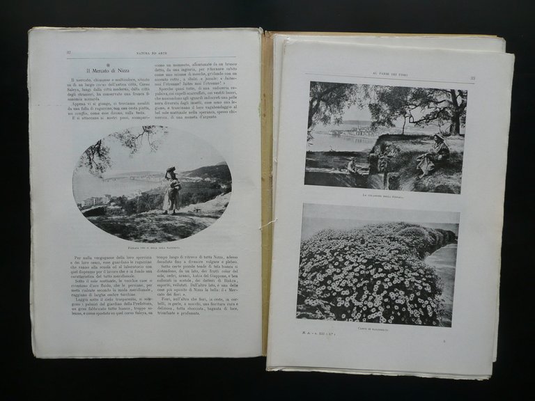 Natura ed Arte Anno XIII N.13 1/6/1904 Nodo Macedone Costanza …