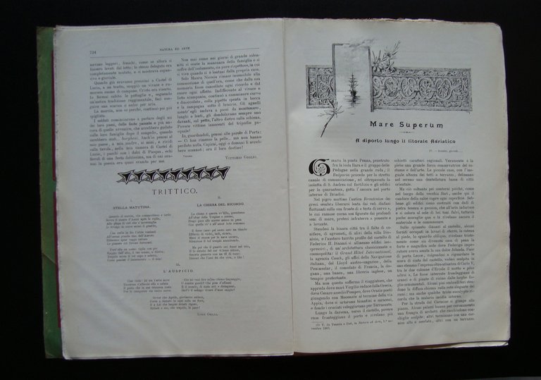 Natura ed Arte Rivista Scienze Lettere Arti 1905 n 11 …