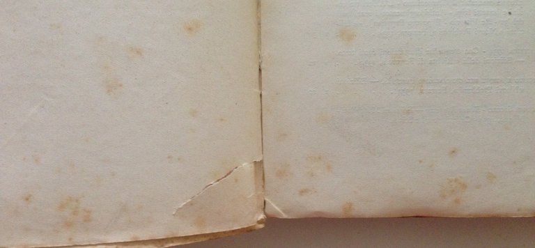 Nello Quilici Giornale 1925 1934 Ferrara Edizione La Nuovissima Napoli …