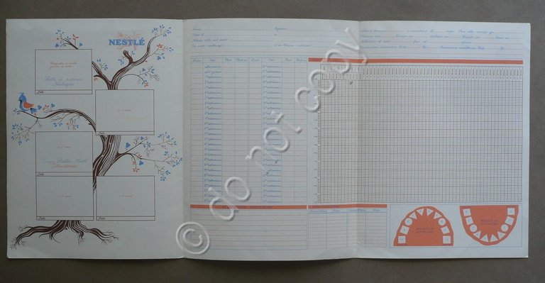 NestlÈ Cartella Primo Anno di Vita Crescita Neonato Infanzia Pediatria … | Immagine Gallery 2