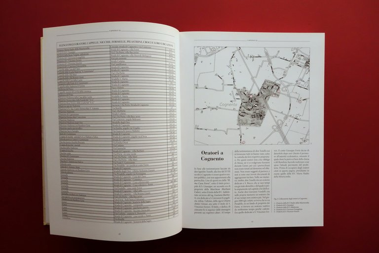 Nino Roveda Villa Cognento Volume II Luoghi di Vita e …