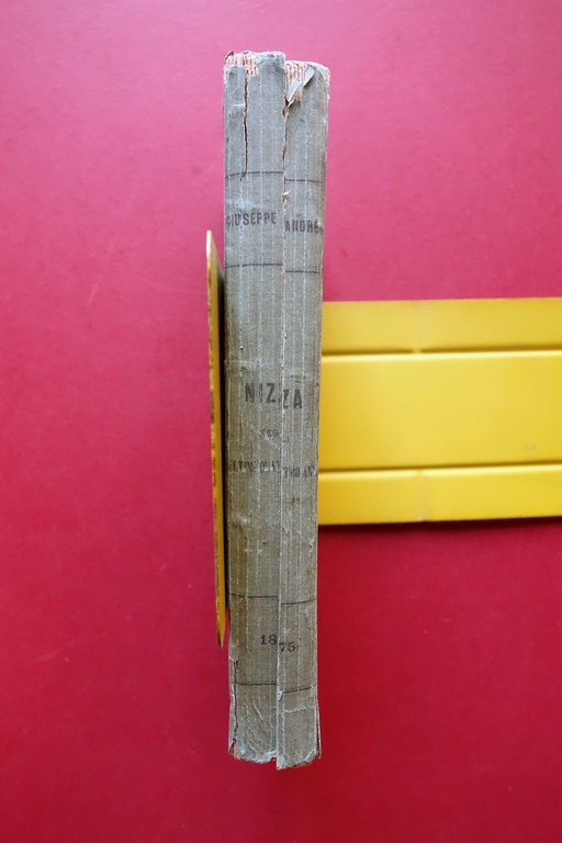 Nizza negli ultimi quattro anni Giuseppe AndrË Tip. Gilletta 1875 … | Immagine Gallery 3