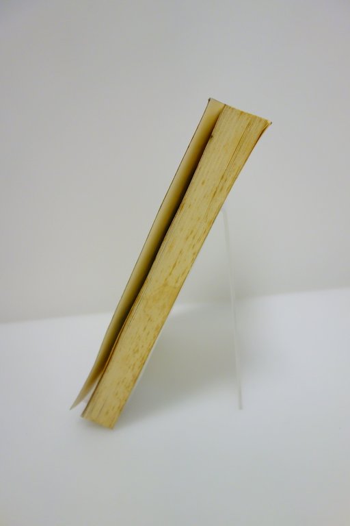 NON RICORDARE NON DIMENTICARE OLOCAUSTO SPERANZA CHASSIDICA ELIACH SHOAH 1992