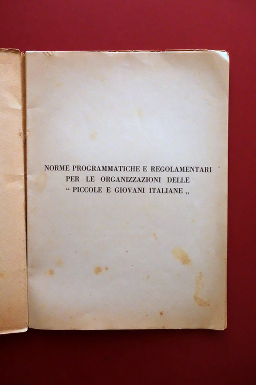 Norme Programmatiche e Regolamentari per Piccole e Giovani Italiane Tavole …