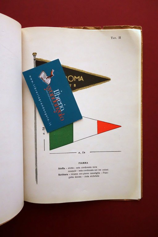 Norme Programmatiche e Regolamentari per Piccole e Giovani Italiane Tavole …