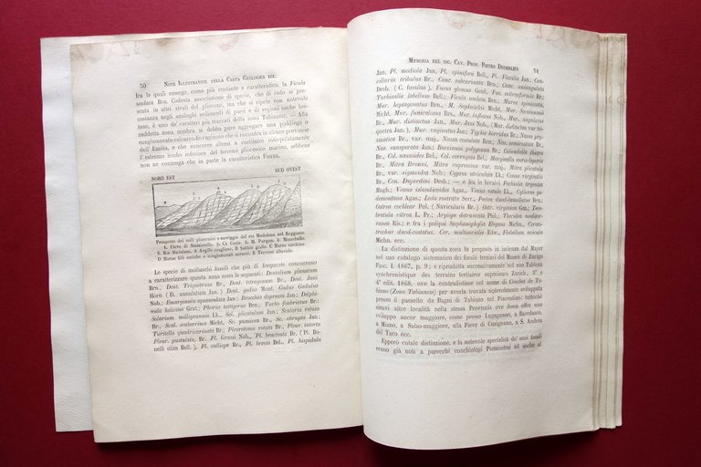 Note Illustrative della Carta Geologica del Modenese e Reggiano Doderlein … | Immagine Gallery 4