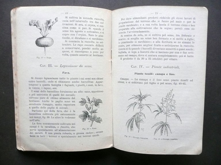 Nozioni di Agricoltura Scuole Rurali Italia Settentrionale Garelli Bemporad 1900