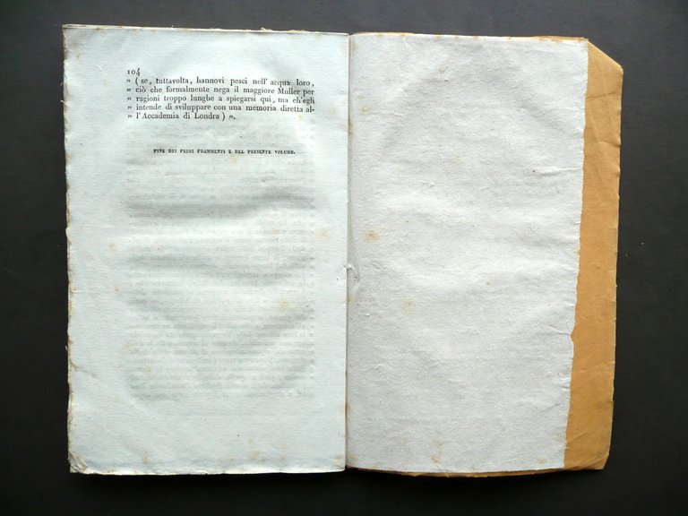 Nuove Scoperte di Sir John Herschel nel Cielo Australe e … | Immagine Gallery 4