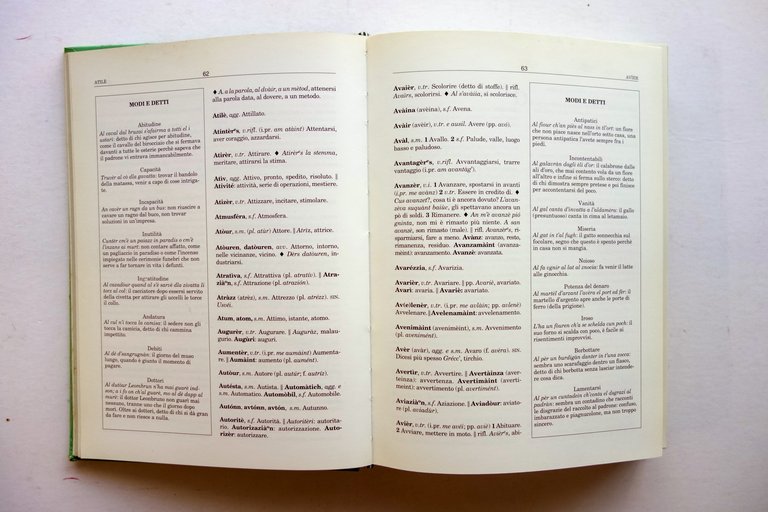 Nuovissimo Vocabolario del Dialetto Bolognese Santarini Bologna 1991 2∞Edizione