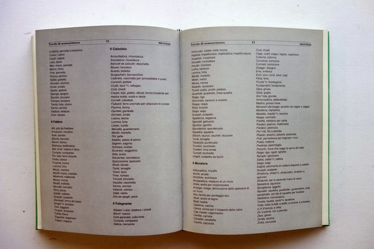 Nuovissimo Vocabolario del Dialetto Bolognese Santarini Bologna 1991 2∞Edizione