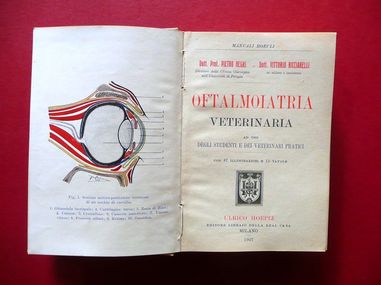 Oftalmoiatria Veterinaria Pietro Negri Vittorio Ricciarelli Hoepli Milano 1907