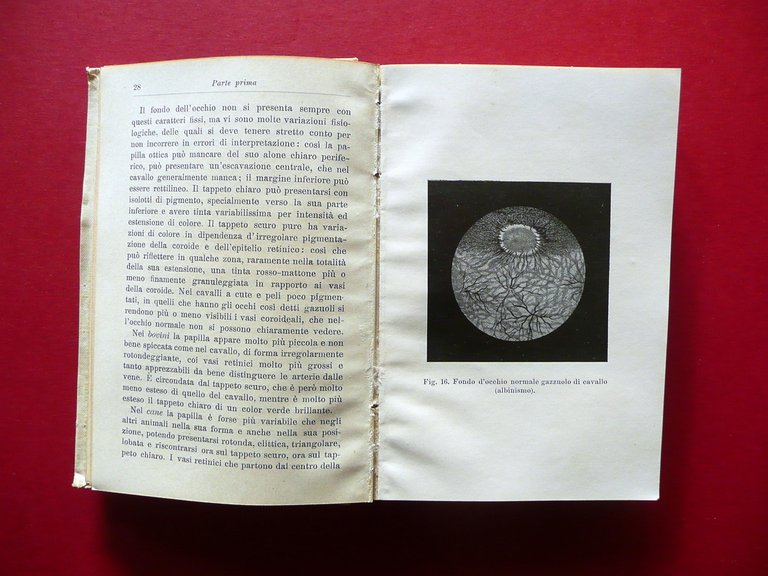 Oftalmoiatria Veterinaria Pietro Negri Vittorio Ricciarelli Hoepli Milano 1907