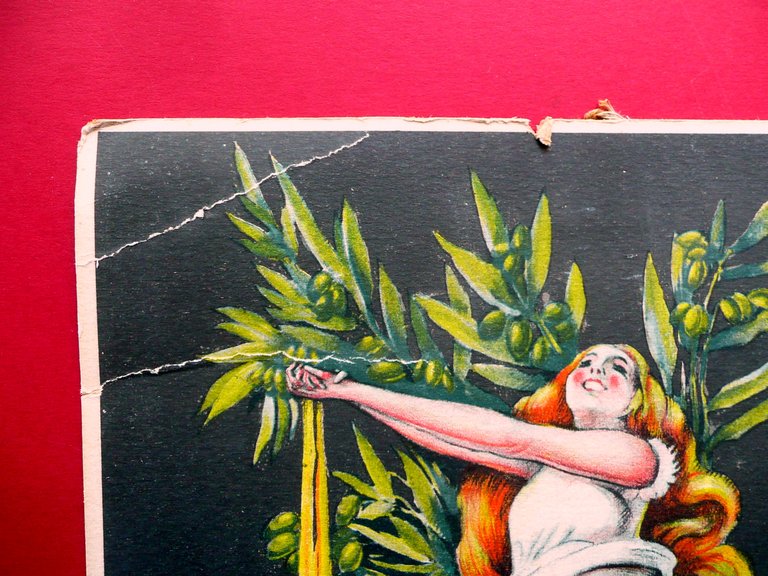 Olivo Gandolfo Fu Pietro Olio Oneglia Illustrazione Pubblicitaria Litografia