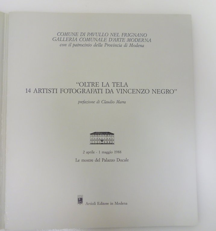 OLTRE LA TELA 14 ARTISTI FOTOGRAFATI DA VINCENZO NEGRO PAVULLO … | Immagine Gallery 2