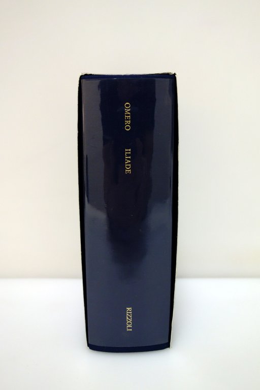 Omero Iliade Testo Greco a Fronte Rizzoli Classici 1996 Ottimo | Immagine Gallery 2