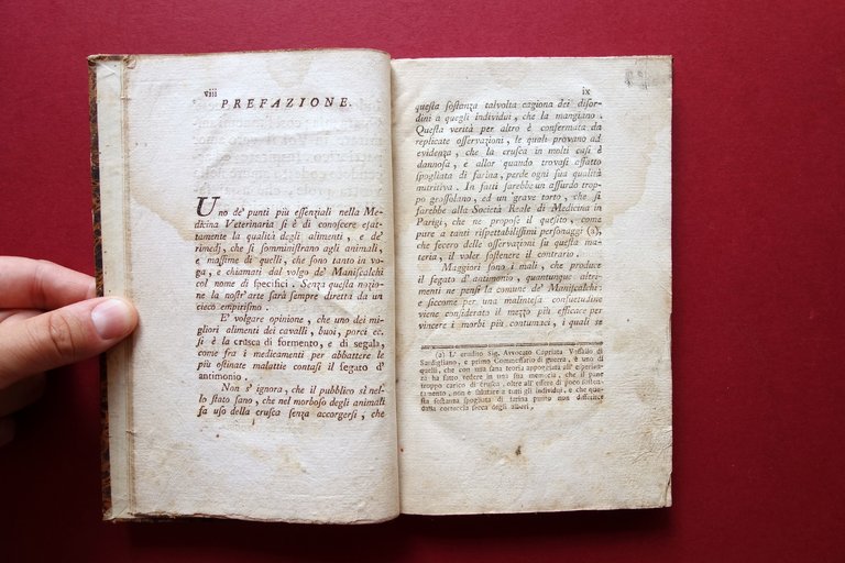 Osservazioni di Francesco Toggia Panialis Vercelli 1790 Veterinaria | Immagine Gallery 4