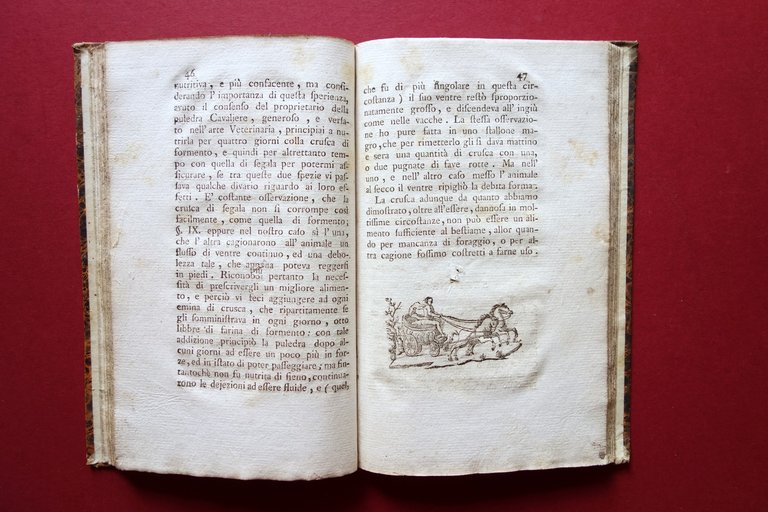 Osservazioni di Francesco Toggia Panialis Vercelli 1790 Veterinaria | Immagine Gallery 5