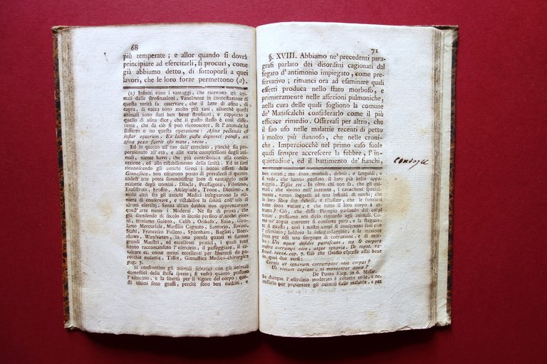 Osservazioni di Francesco Toggia Panialis Vercelli 1790 Veterinaria | Immagine Gallery 7