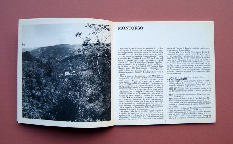 P.Bernardo Rossi Ex Voto di Montorso Catalogo 1983 Nuova Abes …