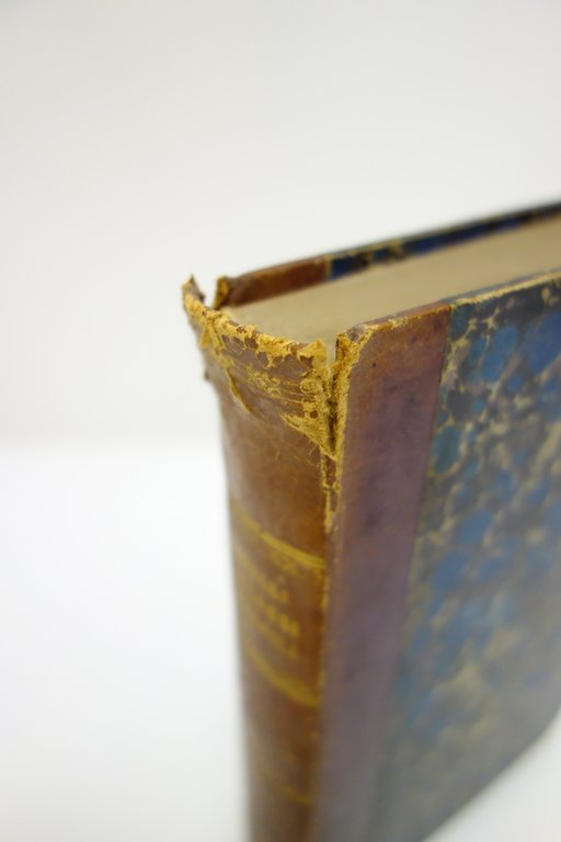 PAESAGGI E PROFILI DI GIUSEPPE TORELLI LE MONNIER 1861 CANNERO … | Immagine Gallery 6