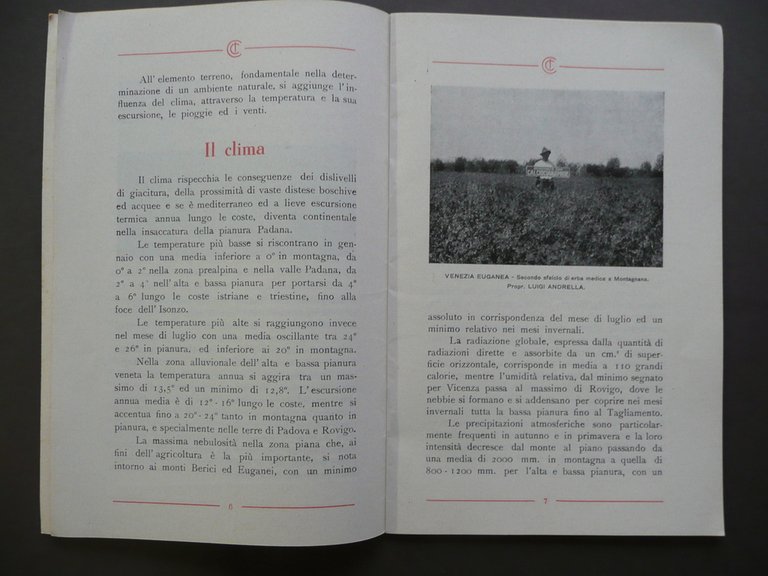 Panorama Agricolo Tre Venezie Concimazione Calciocianamide Gruber Benco 1935