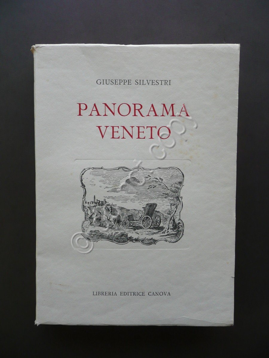 Panorama Veneto tra Brennero e Carnaro Giuseppe Silvestri Canova Treviso …