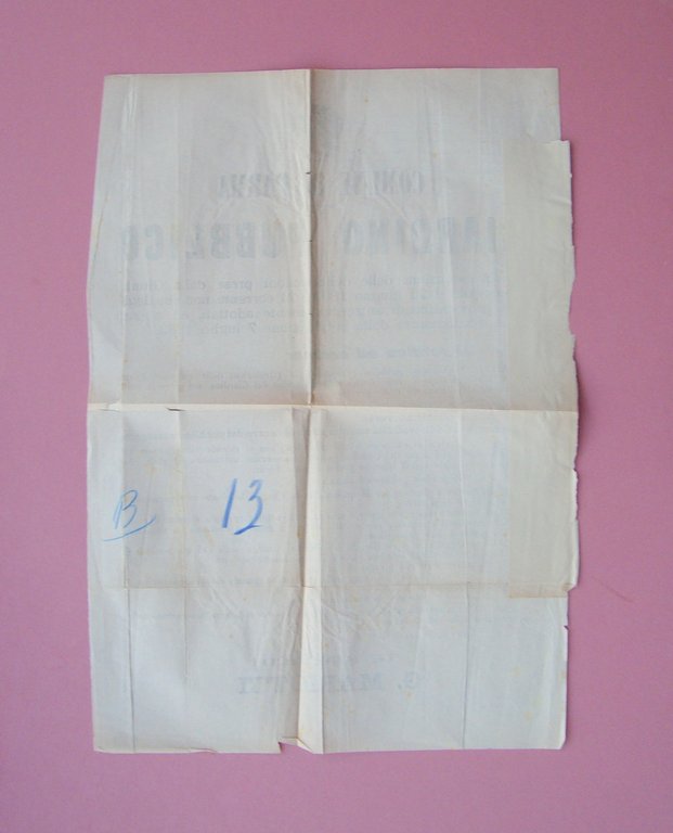 Parma 1894 Manifesto Comune Regolamento Giardino Pubblico+note integrative 1907