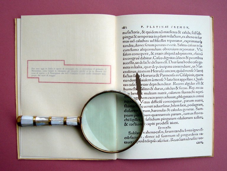 Parmigiano Reggiano 1978 introduzione Medici riproduzioni citazioni | Immagine Gallery 3