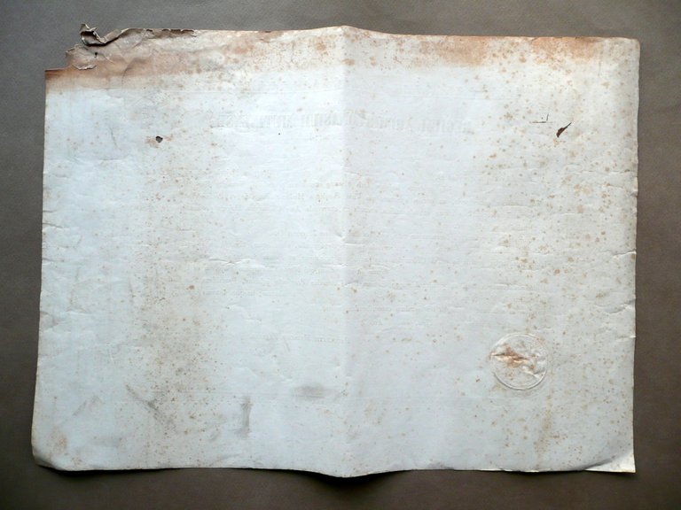 Patente Chirurgia Maggiore Scaravelli Correggio Universit‡ Estense Modena 1858 | Immagine Gallery 3