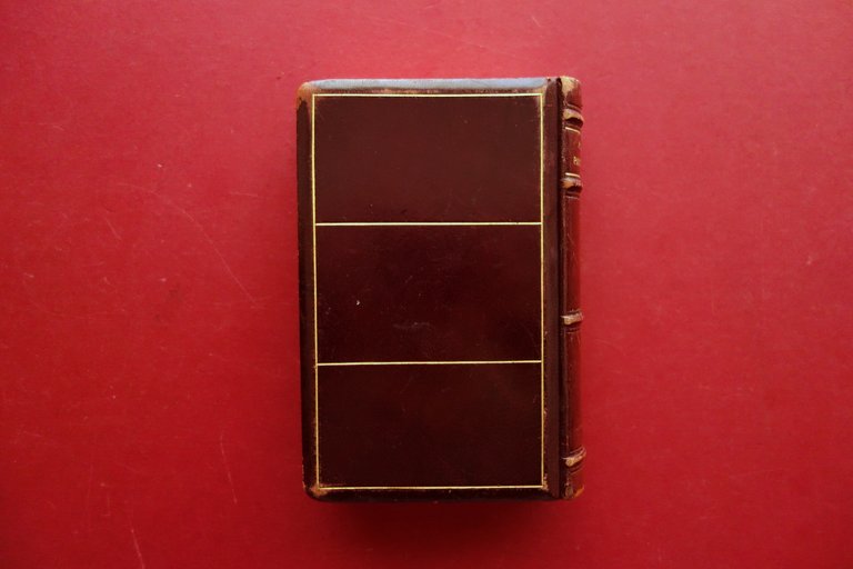 Patria Terra Versi di Riccardo Pitteri Treves Milano 1903 1° …