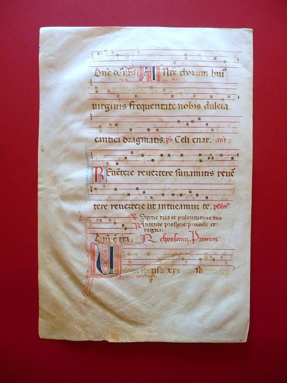 Pergamena Pagina Antifonario Antifonale Miniato Capilettera Manoscritto '500