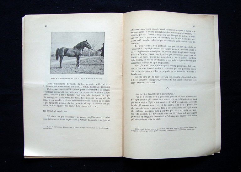Piani Giovanni I primi cavalli da tiro Provincia Ravenna 1915 …