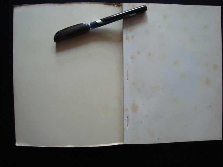 PITTURE E SCULTURE DELL'OTTOCENTO 1958 SALETTA GONNELLI ED COLLEZIONI FIORENTINE